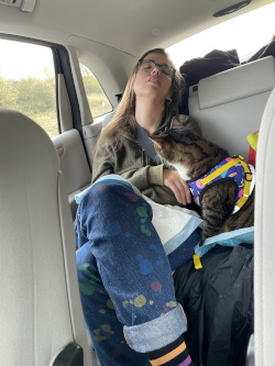 a stripey cat in a harness looking back at a sleeping me